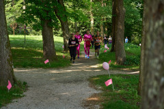 Pink Ribbon 24© holnsteiner 071 kl