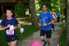 Pink Ribbon 24© holnsteiner 103 kl