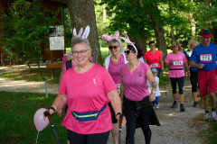 Pink Ribbon 24© holnsteiner 108 kl