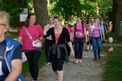Pink Ribbon 24© holnsteiner 117 kl