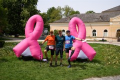 Pink Ribbon 24© holnsteiner 277 kl