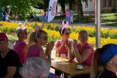 Pink-Ribbon-2026-©-holnsteiner-266-kl